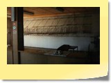 Impression (14)